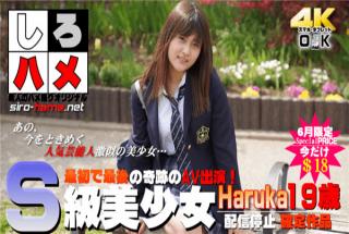Heydouga 4017-PPV238 Part 5 Shiro hame amateur Haruka S class bishoujo The first and last miracle AV