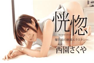 Caribbeancompr 111117_003 Nishizono Sakuya Video bokep perawan online Ecstasy Cum on Ecstasy of Big 