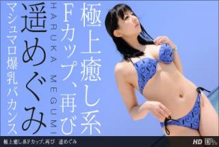 1pondo 060912_358 Megumi Haruka Superb healing F cup, re-bi