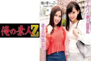 230ORECO105